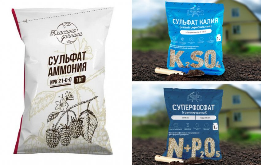 Добрива для рододендрона Добрива для рододендрона