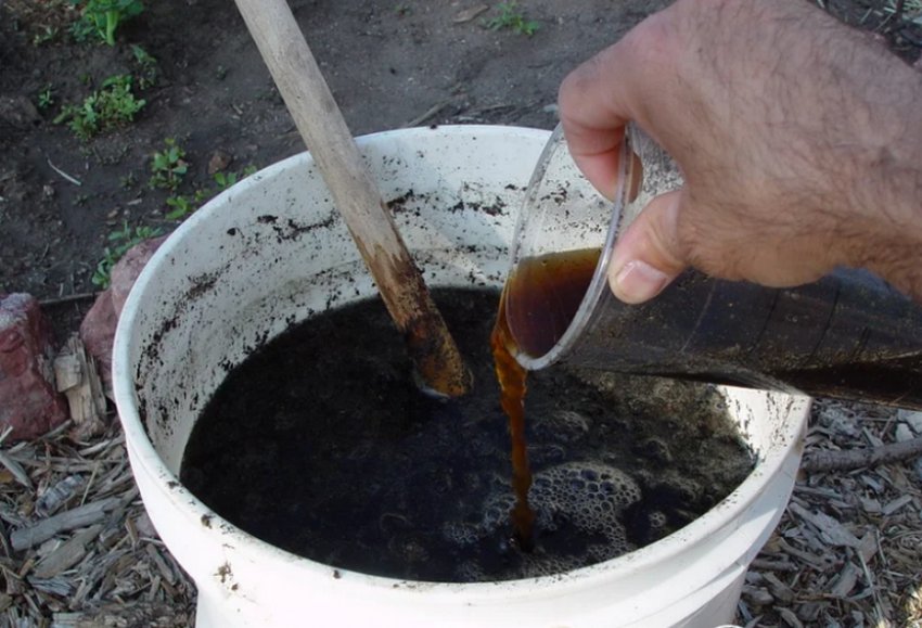 Добрива рідиною