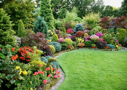 Вибір та застосування дерев і чагарників у ландшафтному дизайні