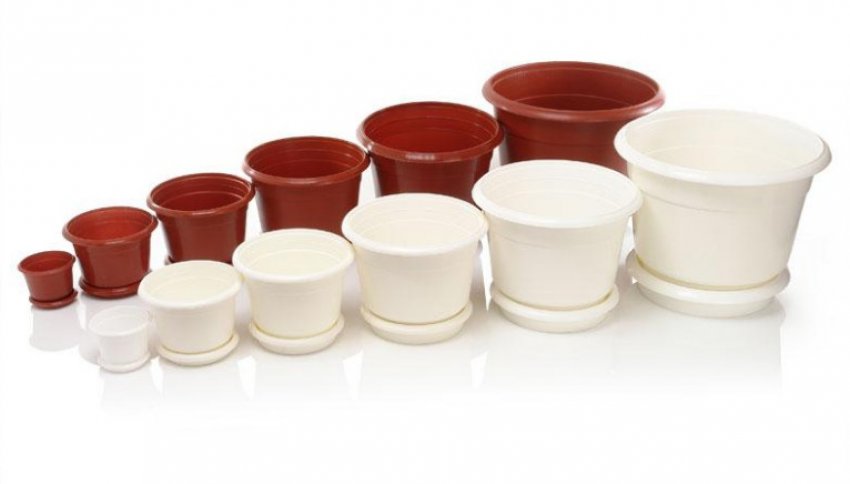 Квіткові горщики