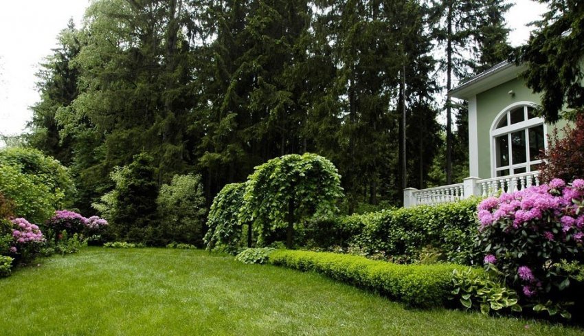 Ландшафт в стилі «русська усадьба»