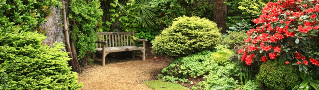 Правила і принципи ландшафтного дизайну