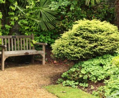 Правила і принципи ландшафтного дизайну