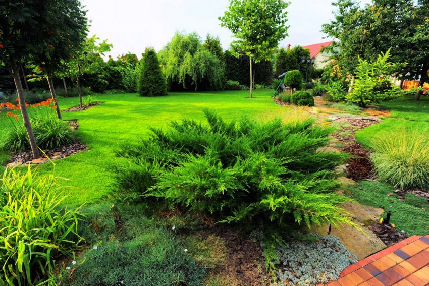 Еко-сад Еко-сад