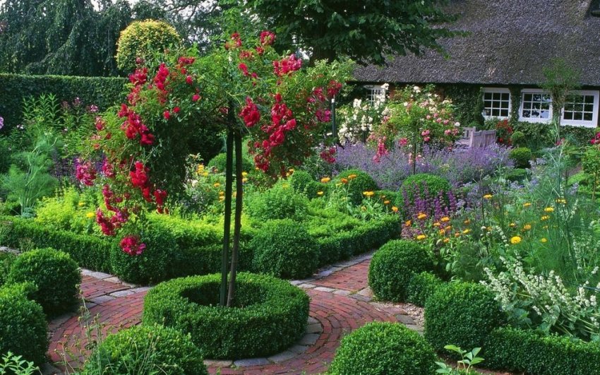 Ландшафтний дизайн з деревом Ландшафтний дизайн з деревом