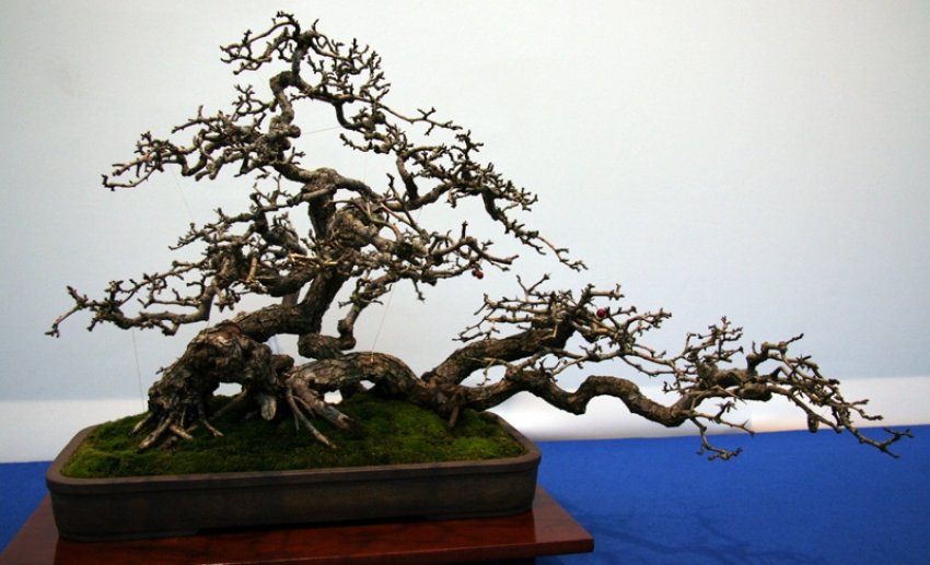 Стиль нэцунагари