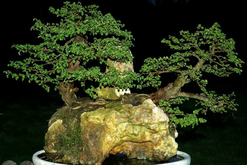 Стиль исицуки