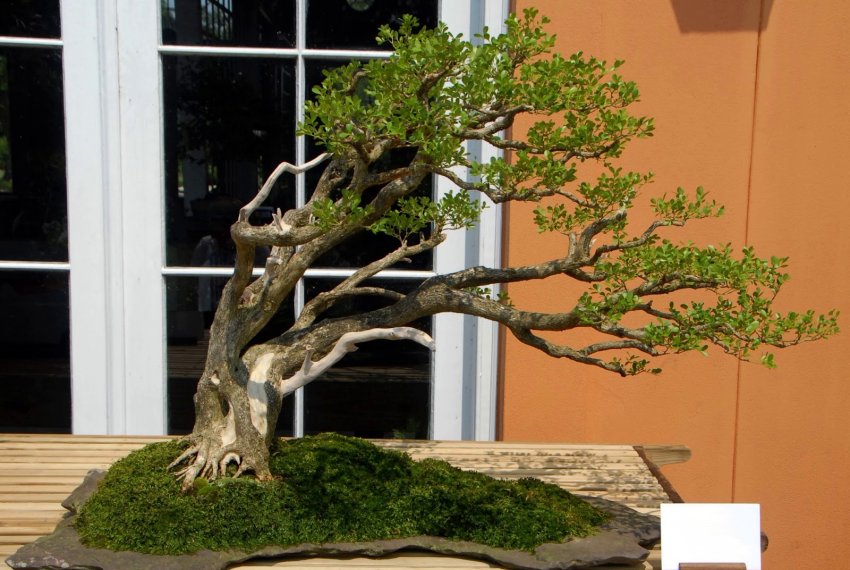 Стиль фукинагаси