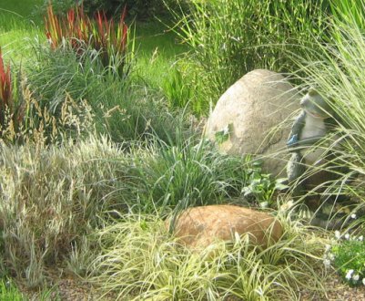 Застосування злаків у ландшафтному дизайні