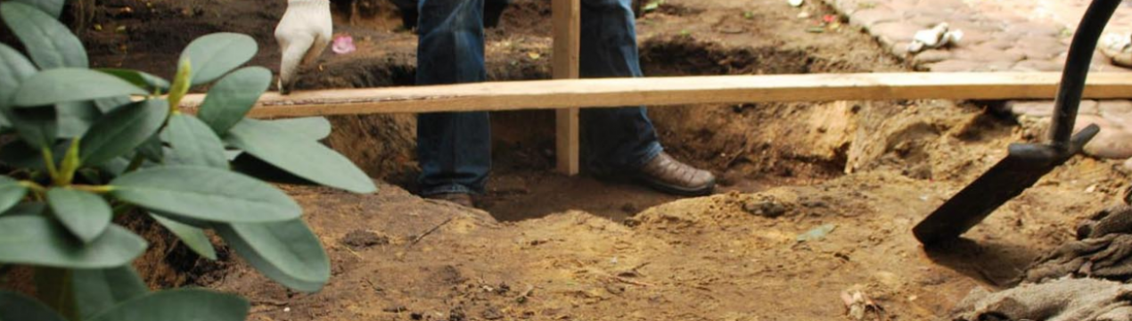 Терміни і правила пересадки рододендрона на інше місце