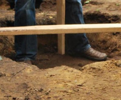 Терміни і правила пересадки рододендрона на інше місце