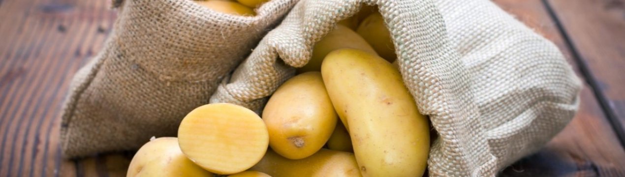 Протестуючі фермери в Індії вирощують сорт картоплі, зареєстрований компанією PepsiCo