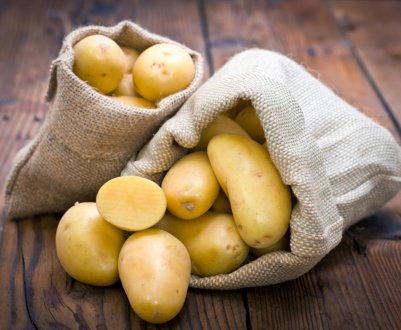 Протестуючі фермери в Індії вирощують сорт картоплі, зареєстрований компанією PepsiCo