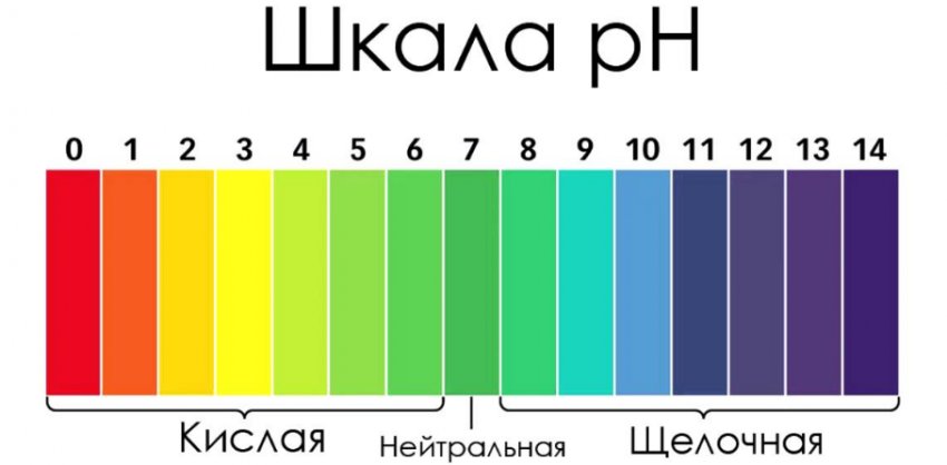 Шкала кислотності ґрунту Шкала кислотності ґрунту