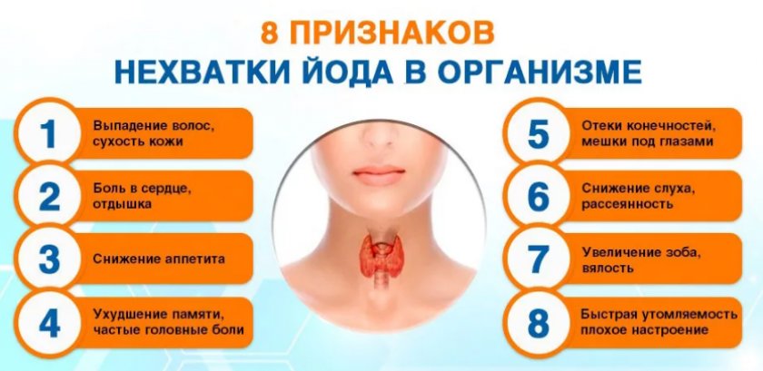 Лечение щитовидной железы гречкой медом thumbnail