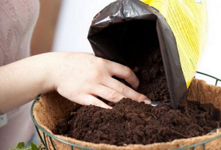 Підготовка субстрата