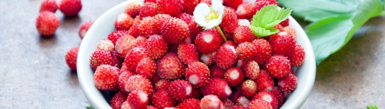 Українські плантації полуниці зловживають гормонами