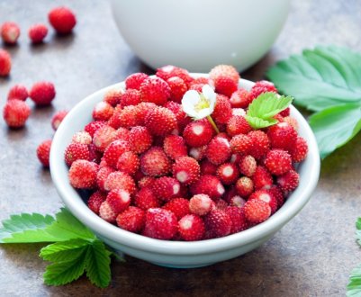 Українські плантації полуниці зловживають гормонами