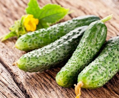 Огірки на Новий рік вирощують під Костромою