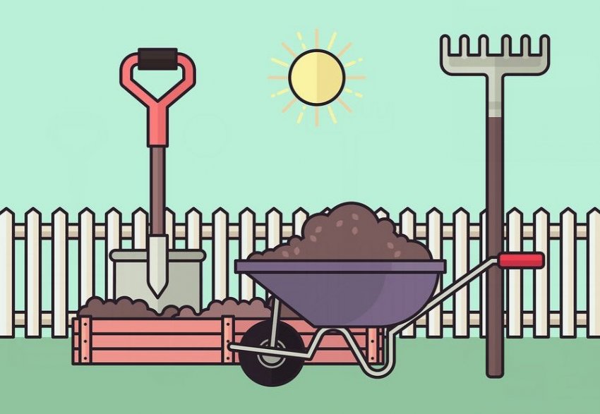 Почва для посадки вейгелы Почва для посадки вейгелы