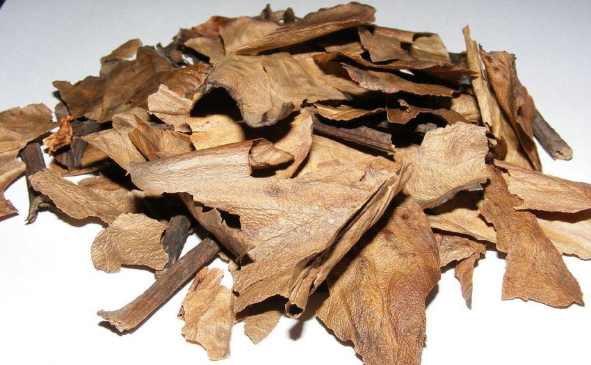 Сушеный бадан Сушеный бадан