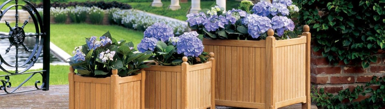 Горщики у ландшафтному дизайні