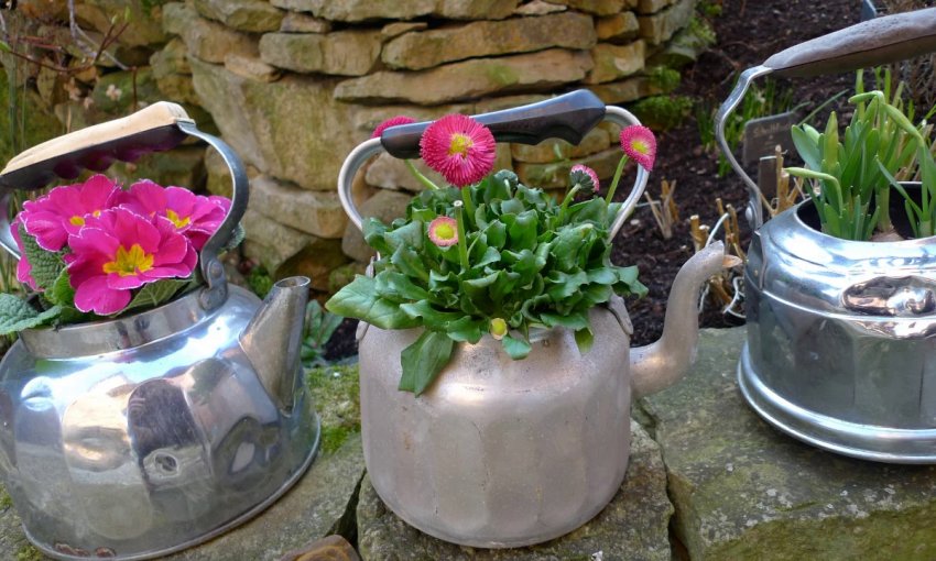 Горщики для квітів з алюмінієвих чайників