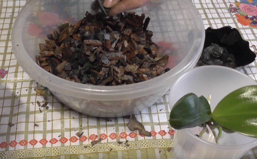 Нарізаємо кору і вугілля Нарізаємо кору і вугілля