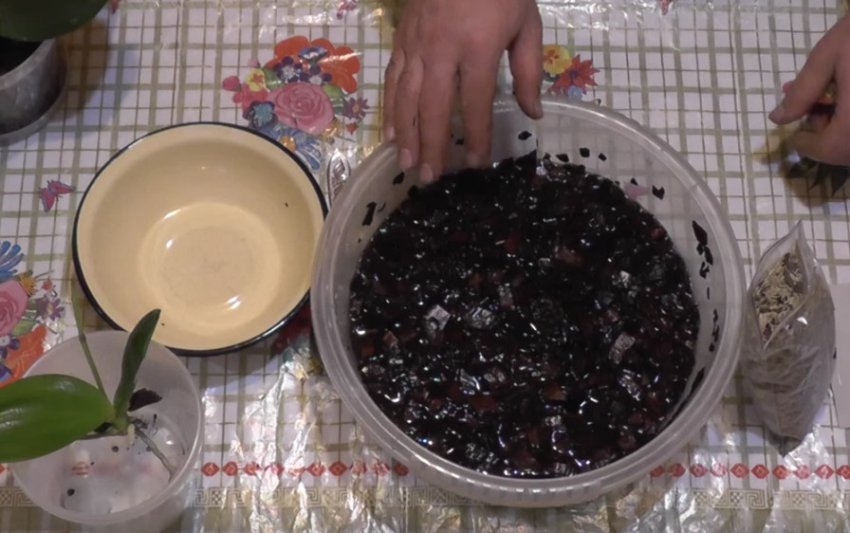 Додаємо добриво Додаємо добриво