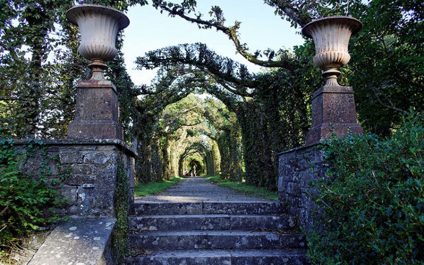 Готика в ландшафтному дизайні Готика в ландшафтному дизайні