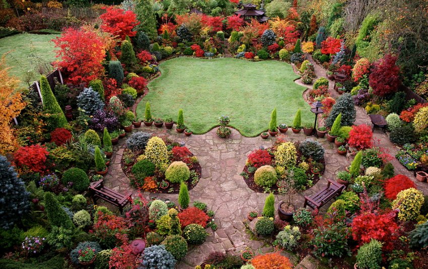 Англійський сад