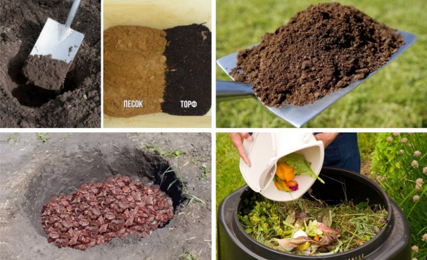 Підготовка ґрунту до посадки