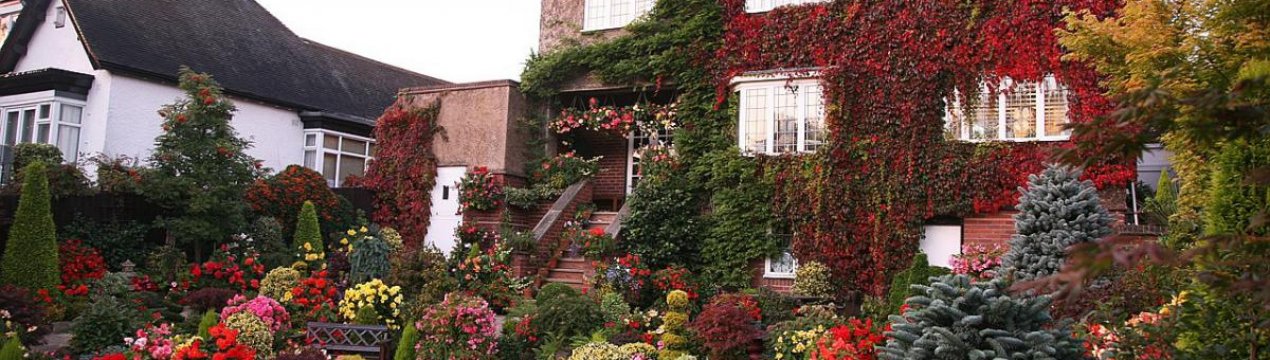 Правила і особливості голландського стилю оформлення ландшафту