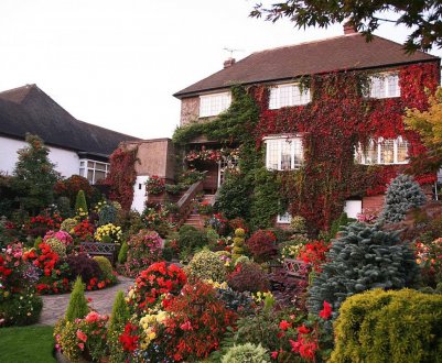 Правила і особливості голландського стилю оформлення ландшафту