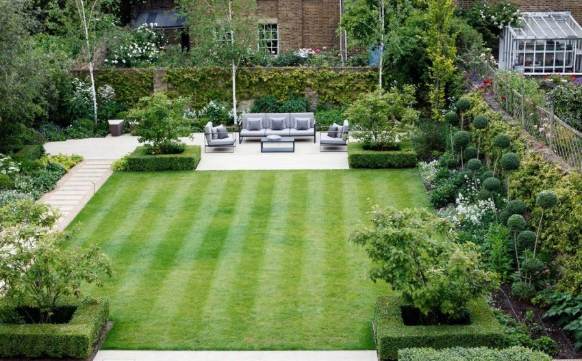 Партерний газон Партерний газон