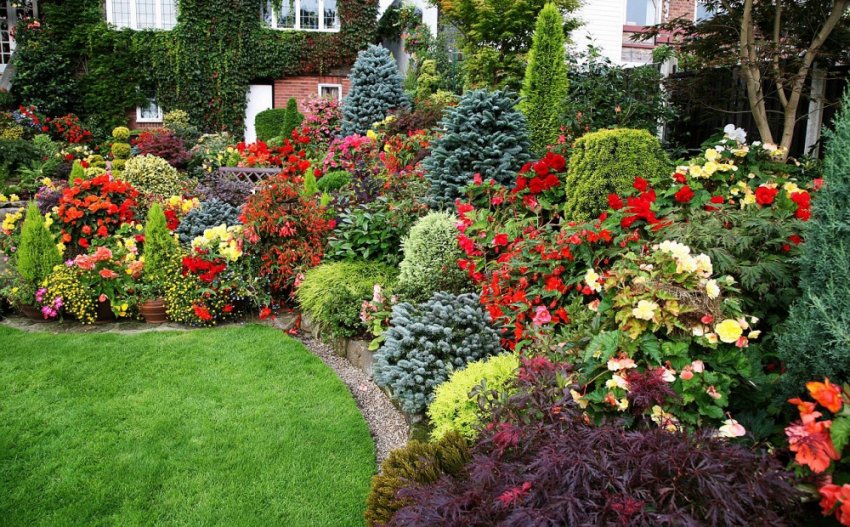 Міксбордер Міксбордер