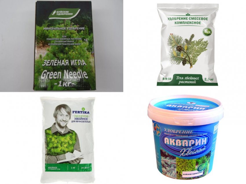 Підживлення можжевельника Підживлення можжевельника