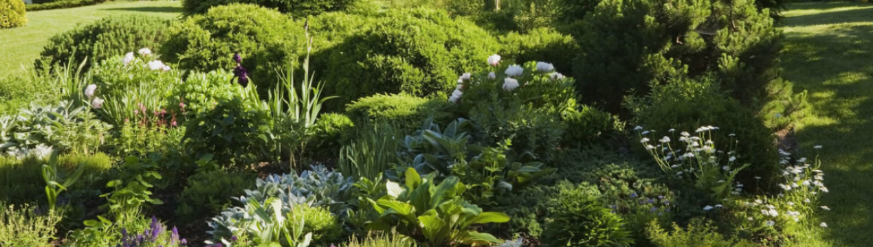 Поширені помилки у ландшафтному дизайні ділянки