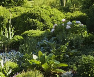 Поширені помилки у ландшафтному дизайні ділянки