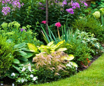 Квіткові клумби своїми руками в ландшафтному дизайні: особливості створення та різні види оформлення