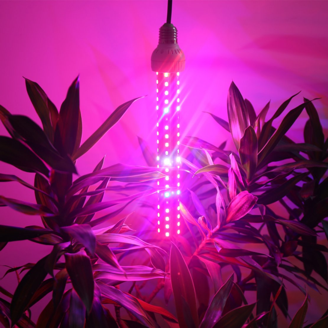Розовый свет фитолампа. Led 150w для растений. Фитолампа для растений 150 Вт полный спектр. Led Light 80w. Grow Light 80 Вт e27.