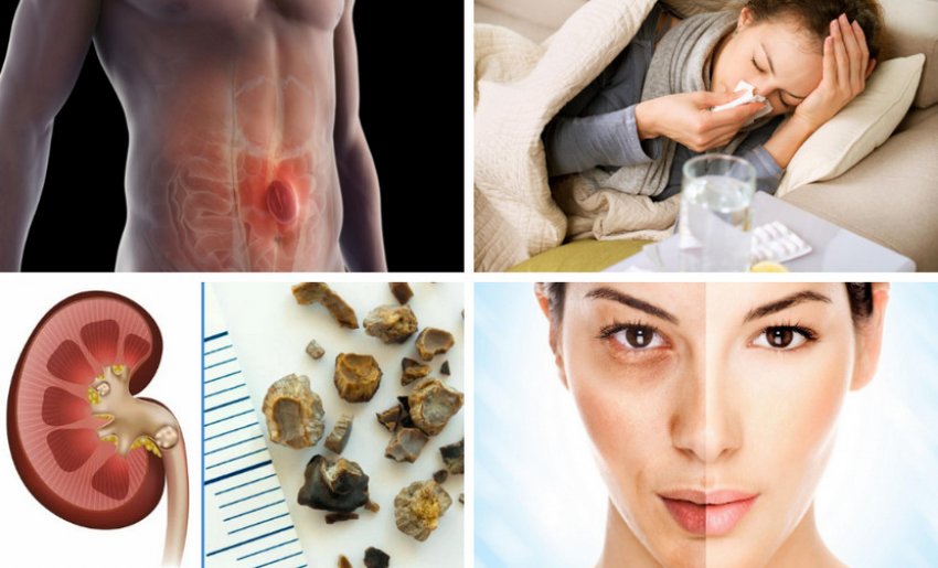 Вказівки щодо використання аліссума