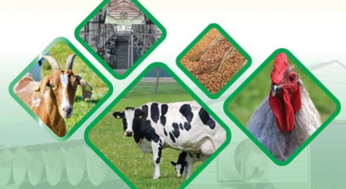 Indo Livestock Expo & Forum 2020