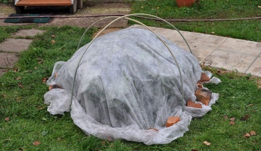 Укриття на зиму Укриття на зиму