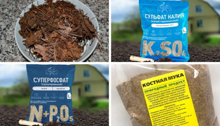 Компоненти ґрунту для вирощування гортензії Компоненти ґрунту для вирощування гортензії