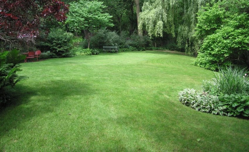 Газон у англійському саду Газон у англійському саду