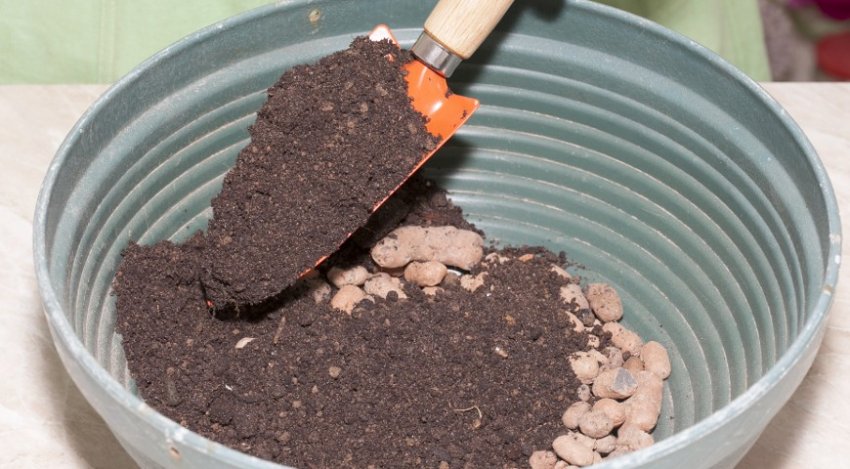 Підготовка грунту для пересадки