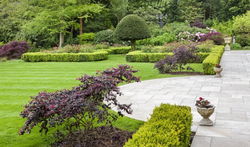 Особливості ландшафту в класичному стилі Особливості ландшафту в класичному стилі