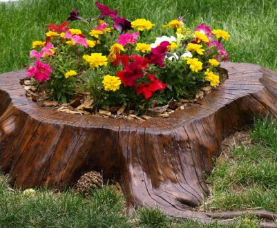 Способи використання пень у ландшафтному дизайні