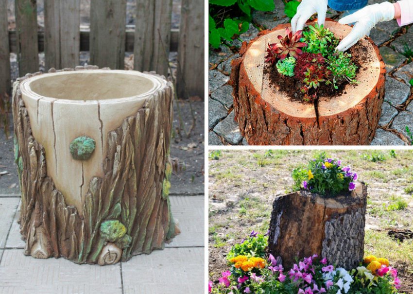 Вазон для квітів із пня